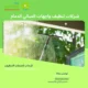 خدمات تنظيف نوافذ المباني والواجهات بجازان